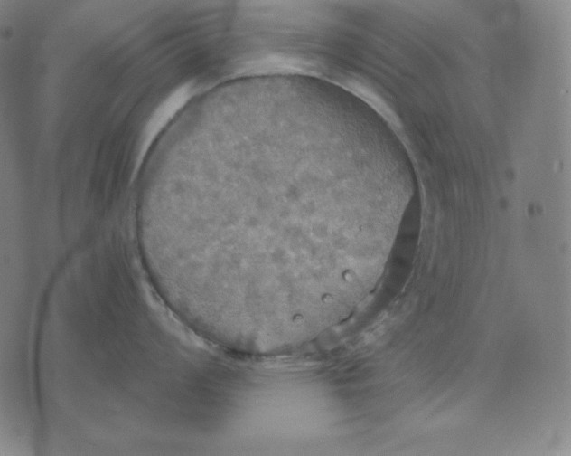 X0000071911008200607281823