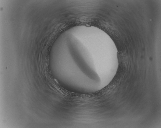 X0000071911009200607281823