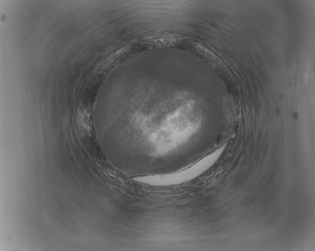 X0000071911010200607281823