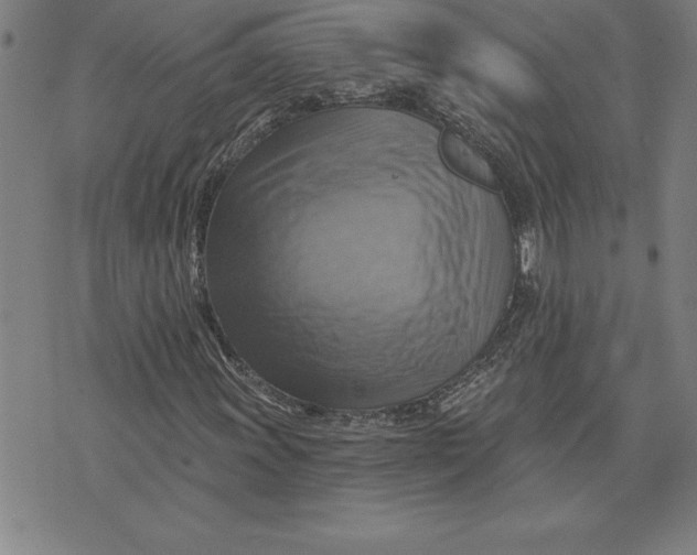 X0000071911011200607281823