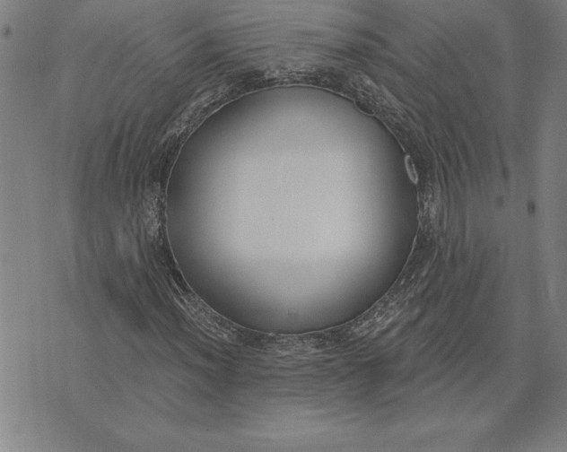 X0000071911012200607281823