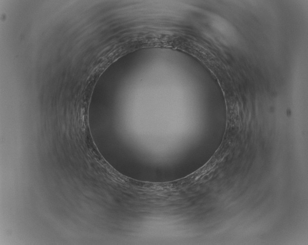 X0000071911013200607281823