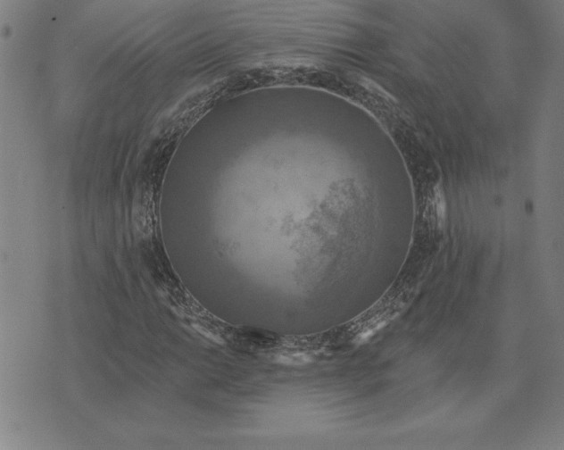 X0000071911014200607281823