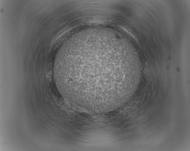 X0000071911015200607281823