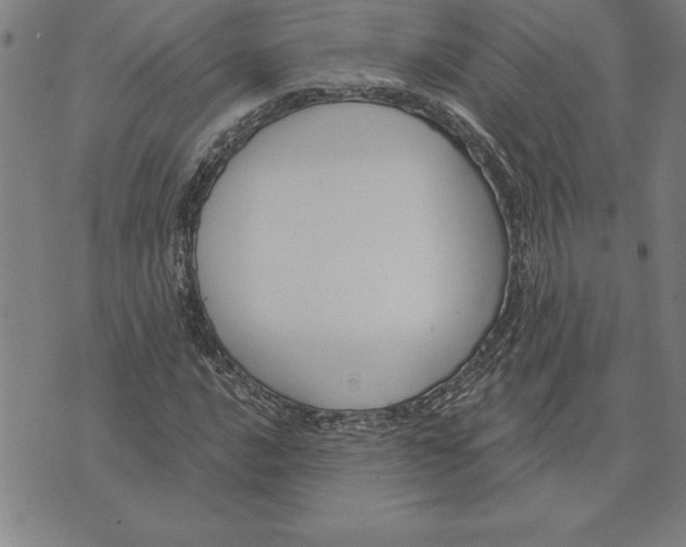 X0000071911016200607281823