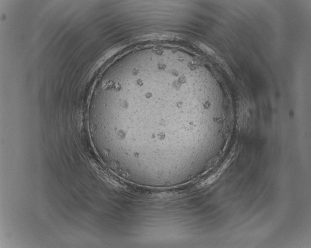 X0000071911017200607281823