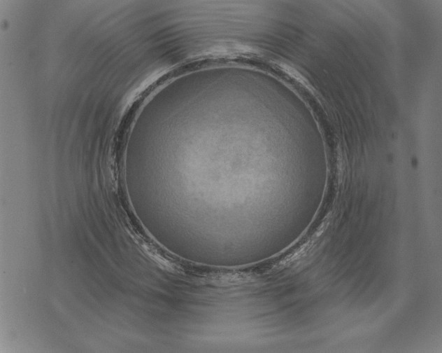 X0000071911018200607281823