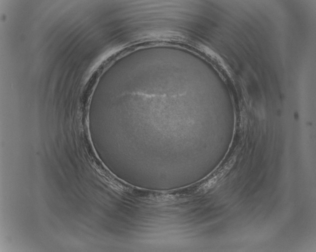 X0000071911019200607281823