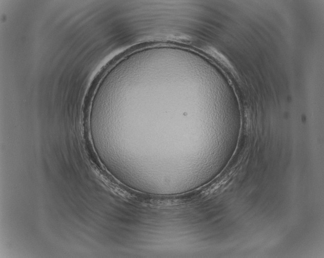 X0000071911020200607281823