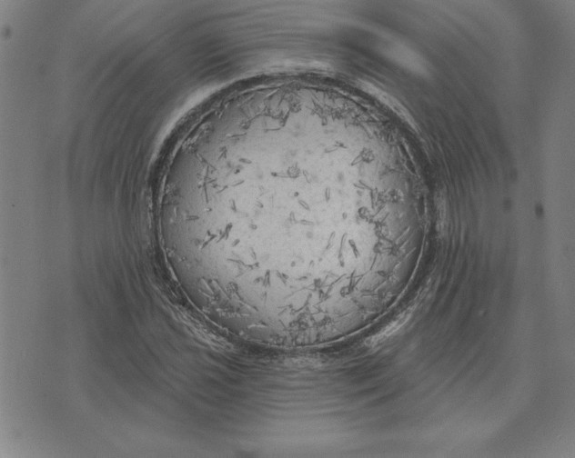 X0000071911021200607281823