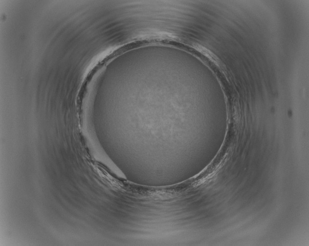 X0000071911022200607281823