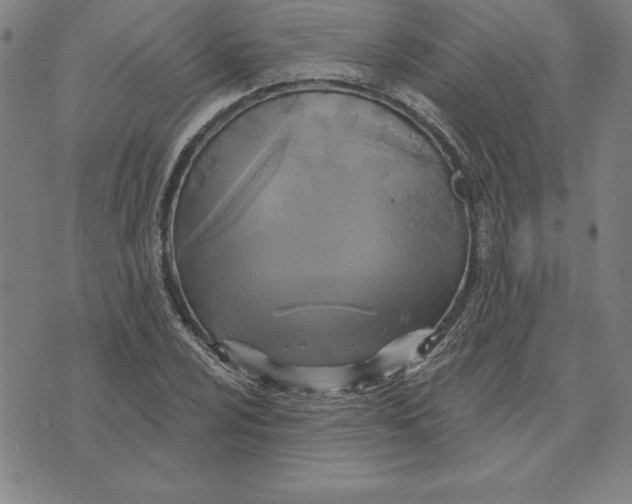 X0000071911024200607281823