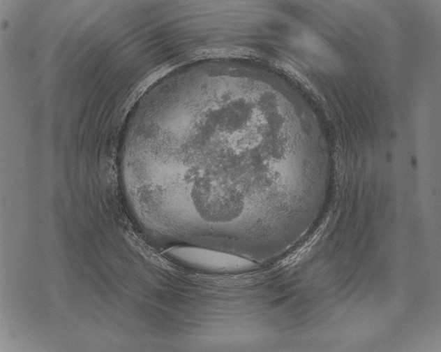 X0000071911025200607281823