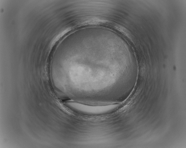 X0000071911026200607281823