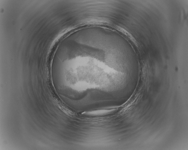 X0000071911027200607281823