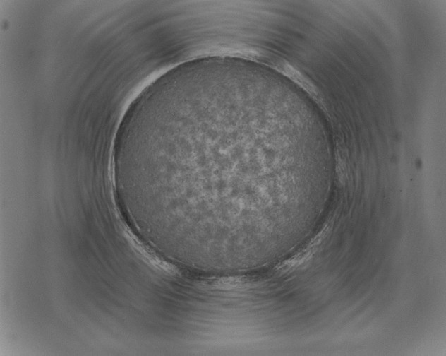 X0000071911028200607281823