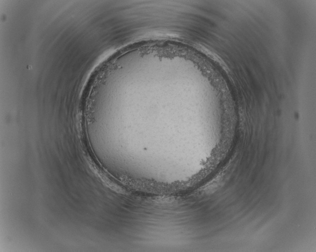 X0000071911029200607281823