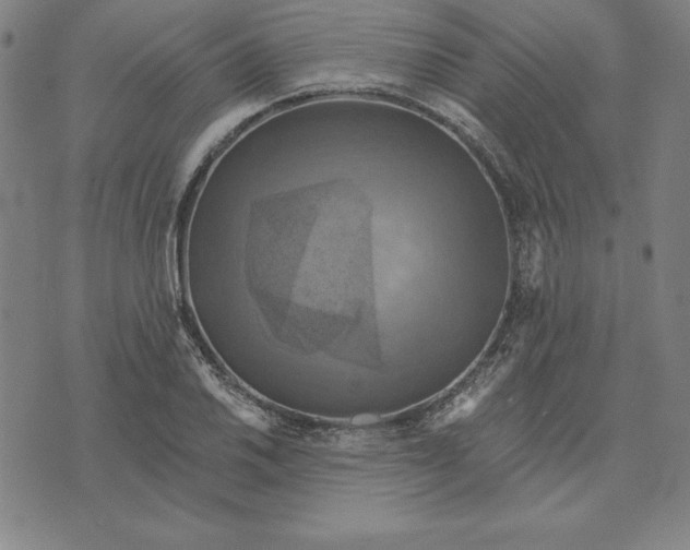 X0000071911030200607281823