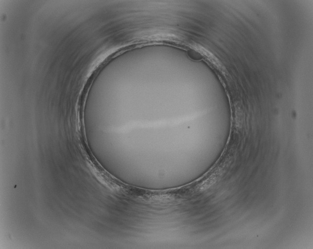 X0000071911031200607281823