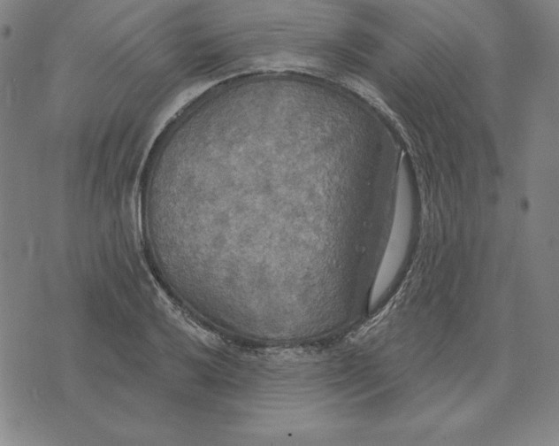 X0000071911032200607281823