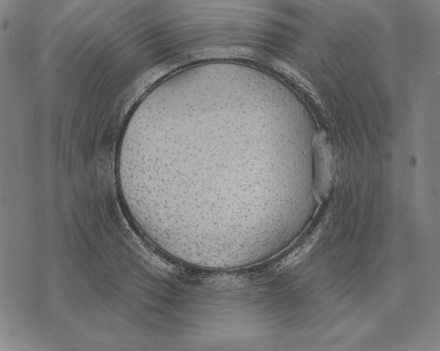 X0000071911033200607281823