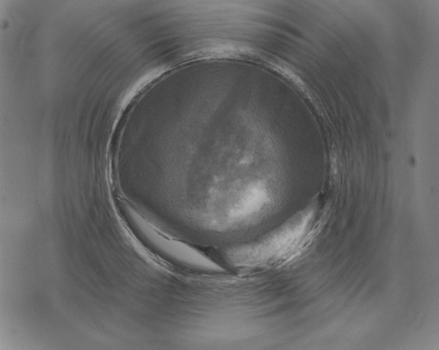 X0000071911034200607281823