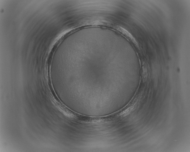 X0000071911035200607281823