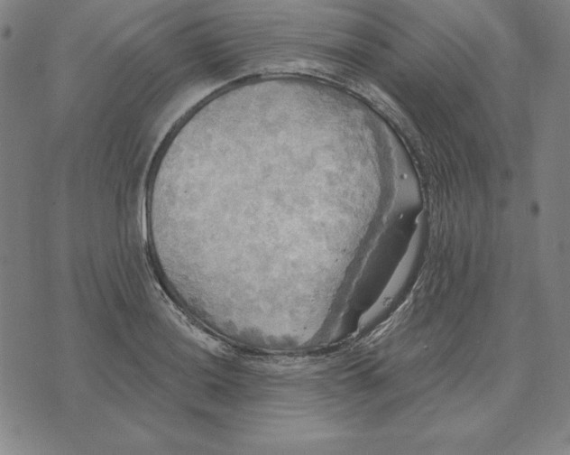 X0000071911036200607281823