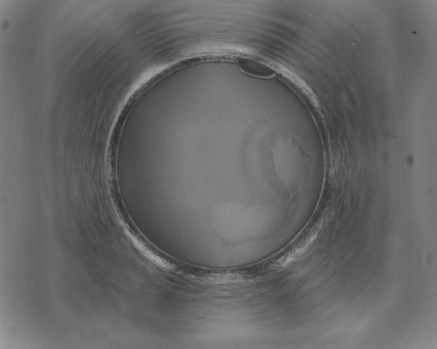 X0000071911037200607281823