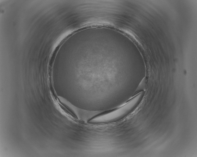 X0000071911038200607281823