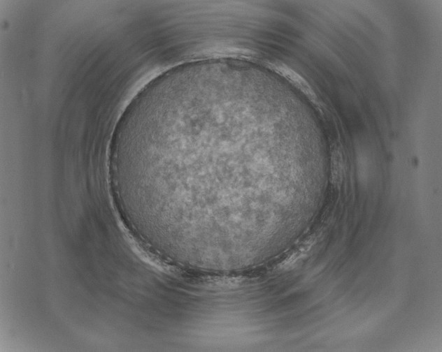 X0000071911039200607281823