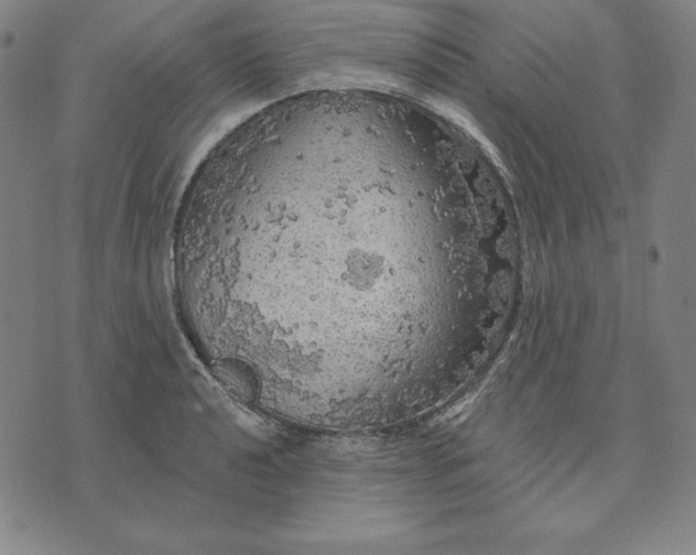 X0000071911040200607281823