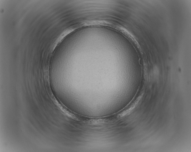 X0000071911041200607281823