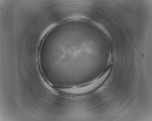 X0000071911042200607281823