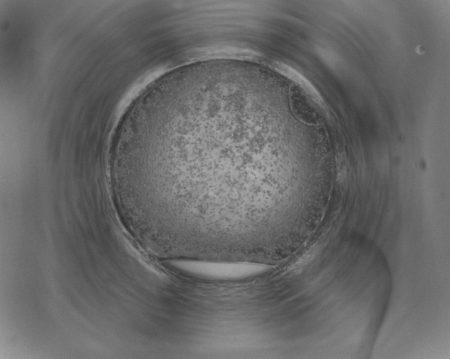 X0000071911043200607281823