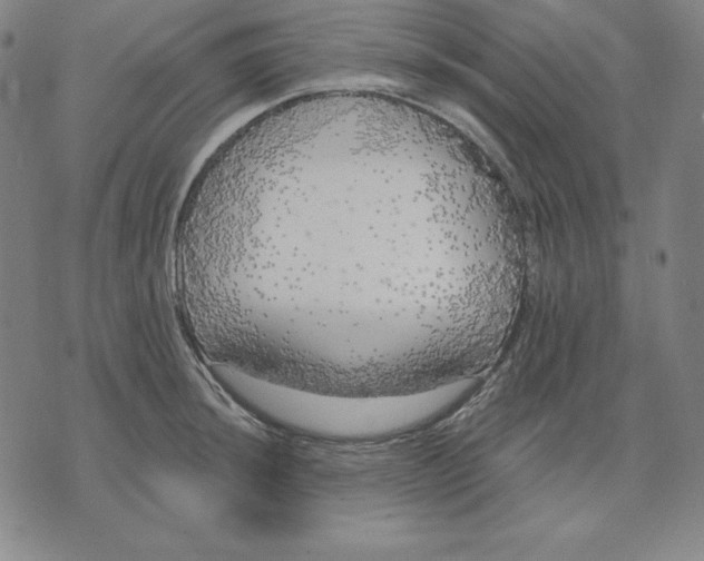 X0000071911044200607281823