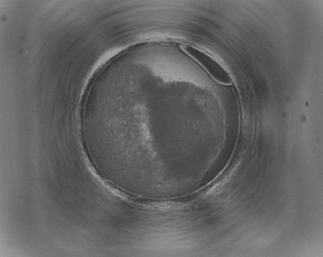 X0000071911045200607281823