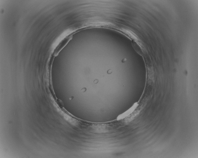 X0000071911046200607281823