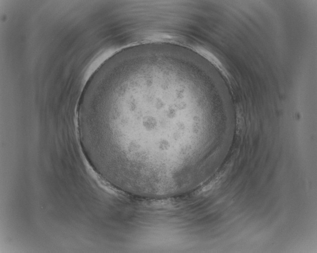 X0000071911047200607281823