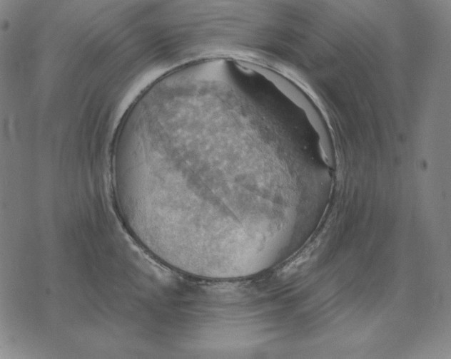 X0000071911048200607281823