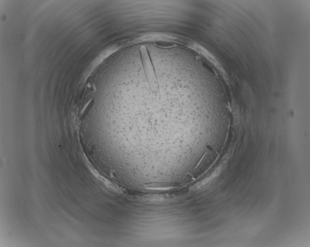 X0000071911049200607281823