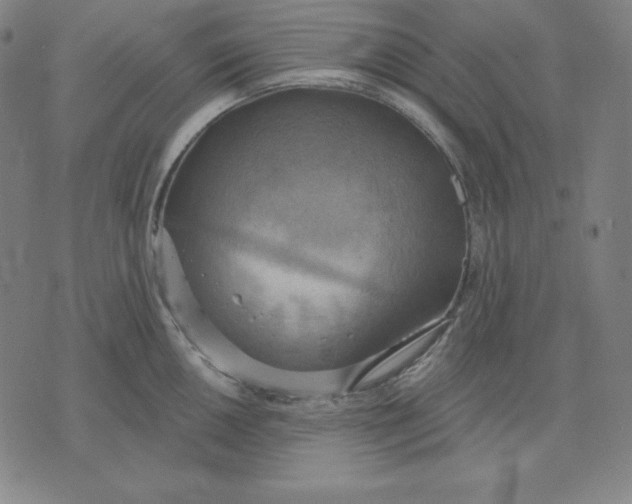 X0000071911050200607281823