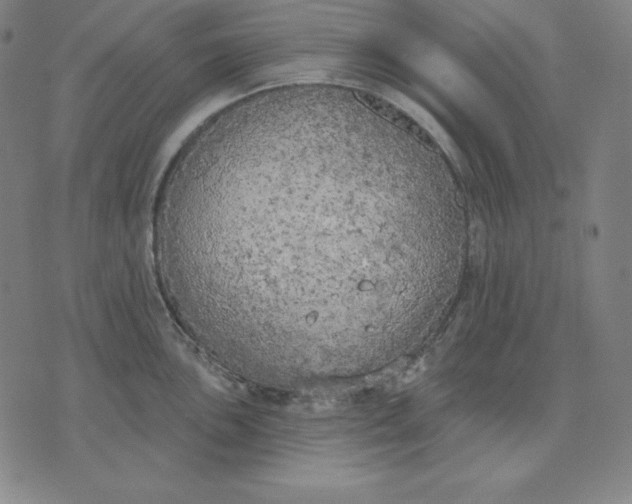 X0000071911051200607281823