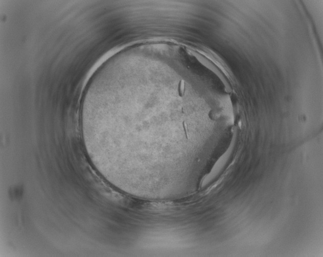 X0000071911052200607281823