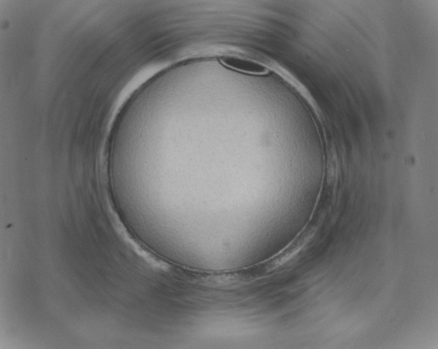 X0000071911053200607281823