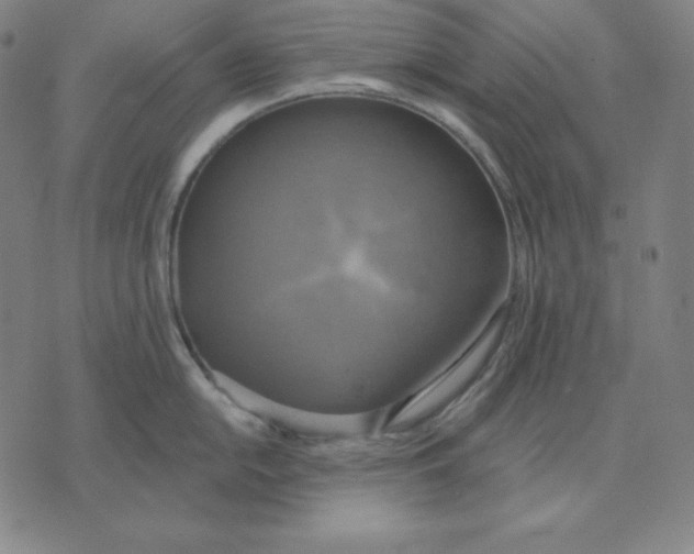 X0000071911054200607281823