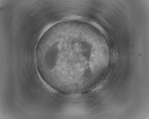 X0000071911055200607281823