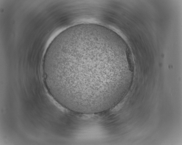 X0000071911056200607281823