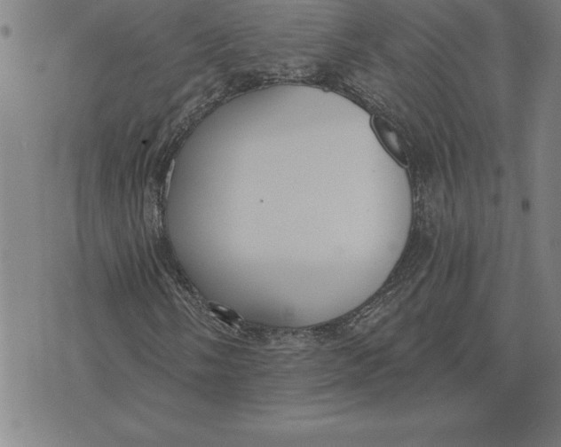 X0000071911058200607281823