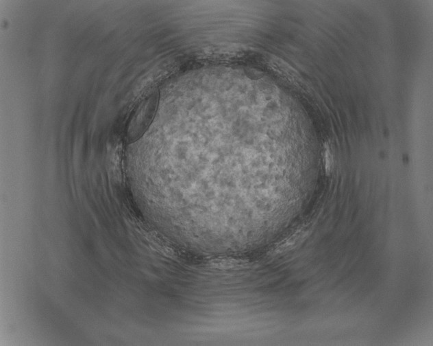 X0000071911059200607281823